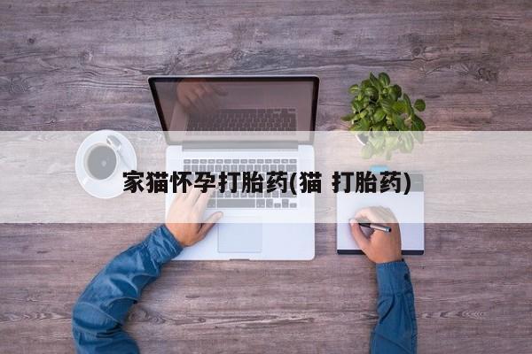流产药私人联系方式微信家猫怀孕打胎药(猫 打胎药)