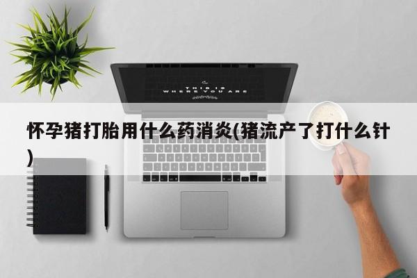 流产药私人联系方式微信怀孕猪打胎用什么药消炎(猪流产了打什么针)